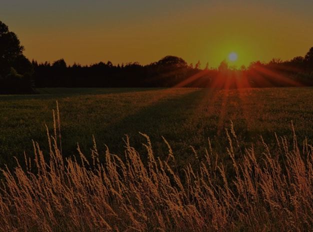 Agriculture and Farming